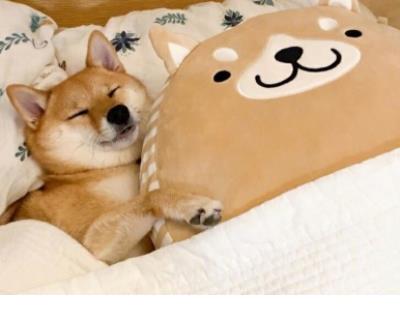 表达心痛的句子