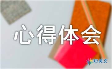 关于提高执行力心得体会（精选6篇）