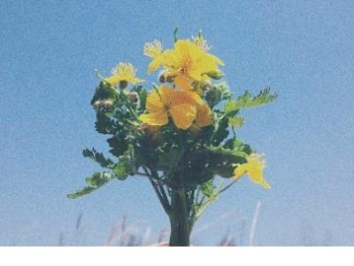 儿童节宣传标语