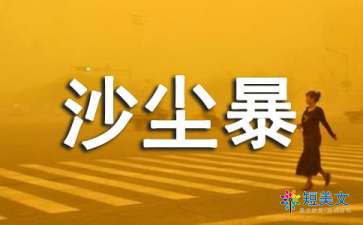 关于沙尘暴的作文500字（精选11篇）