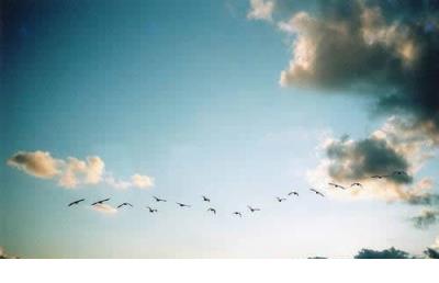 QQ超丧背景图