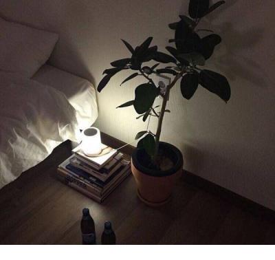 其实单身也挺好的说说