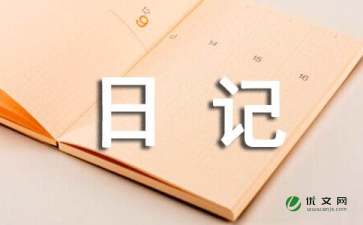 日记100字大全