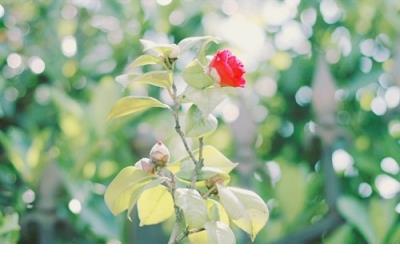 爱情伤感说说心累了短句 一个人心累伤感说说简短