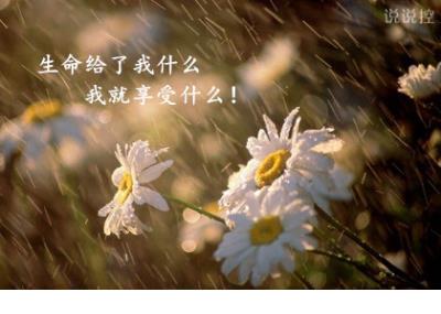 朋友圈最爆笑的笑话大全笑破你的肚子