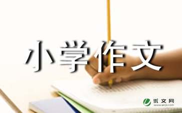 功夫不负有心人作文400字_小学作文