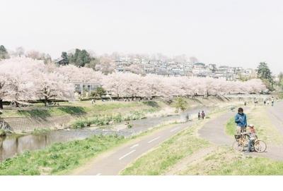 2018年土地日的宣传主题是