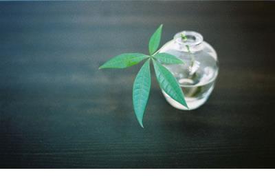 新年快乐祝福语
