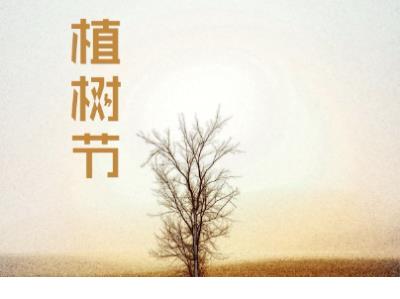 有关回忆的诗歌