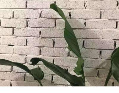 计算机班级口号霸气 班级文化的口号高三毕业班