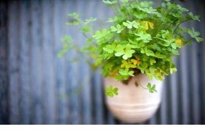 班组管理的7个方法