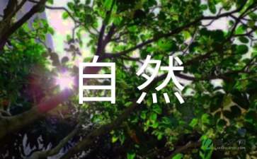 自然之道作文（精选11篇）