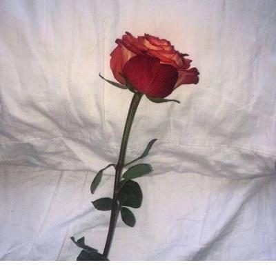 充满正能量的微信说说