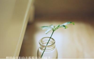 悲伤比心死，心死比笑