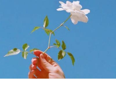 qq空间点赞神器