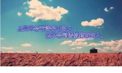 超酷的八字短句