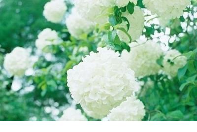 能让人火爆点赞的说说 朋友圈点赞率很高的说说