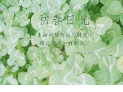 霸气幽默的高考口号
