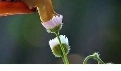 一些名人的座右铭