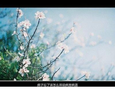 别问我怎么知道的