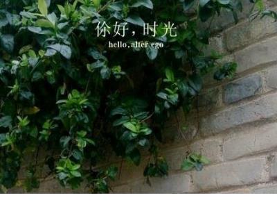 朋友圈个性搞笑心情说说大全