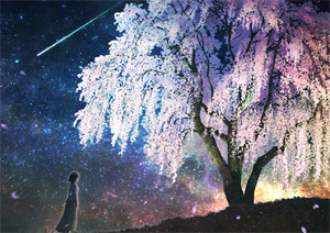 20338沈昭玉陆宴知全本章节目录免费阅读小说