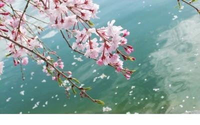下雨天想哭的心情说说_但时光流逝，却依然错过