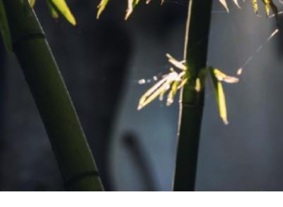 关于友谊的说说