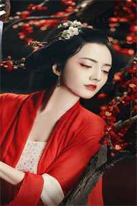 画扇浅醉染全本小说-免费阅读（苏灵溪黎澍沈汐）最新章节在线阅读