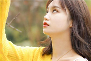 女儿说,我爸毒枭,罪该万死免费阅读全文