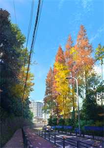 末路囚花(王纯梁恭施礼)全文免费阅读_末路囚花最新章节阅读笔趣阁
