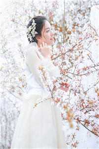 林晚晚陆经年(林晚晚陆经年)小说免费阅读-林晚晚陆经年全文免费阅读-笔趣阁