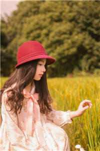 江书华邱婷乔如结局小说(江书华邱婷乔如)_江书华邱婷乔如结局全章节小说目录