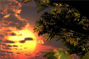 司机不穷小说(郑正于鱼)全文免费阅读_司机不穷小说(郑正于鱼)最新章节列表笔趣阁司机不穷小说