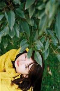 苏晚卿陆瑾川小说（苏晚卿陆瑾川）全文小说_苏晚卿陆瑾川小说全文阅读_笔趣