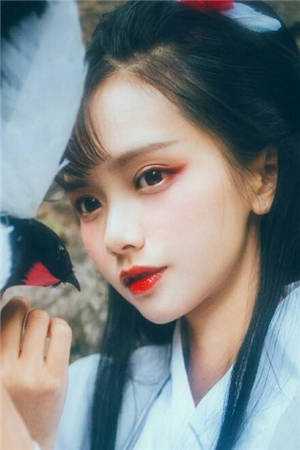 呼延拓阮芯柔（民女当皇后）全文免费阅读无弹窗大结局_呼延拓阮芯柔（呼延