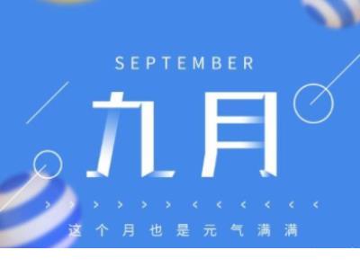 含猪的歇后语