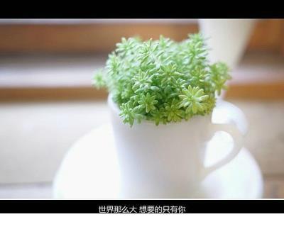 出国留学祝福语