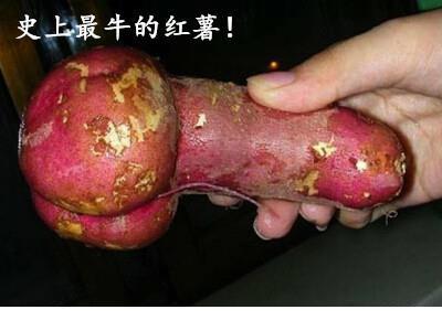 关于心情非常好的说说 关于人心情不好的说说