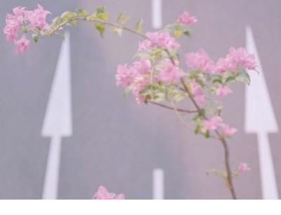 艾弗森经典壁纸
