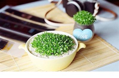 计算机班级口号霸气