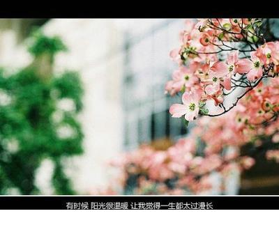 部队上进励志名言警句