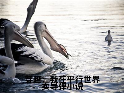 穿越：我在平行世界卖导弹免费章节阅读， 苏哲苏哲2023最新热门榜单小说