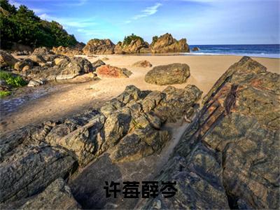 言情小说推荐许莓薛岑 许莓薛岑全文完整版