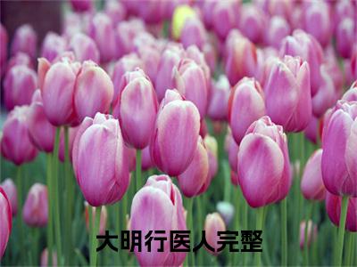 好看言情小说大明行医人  姚雅林秦子瑶完整版