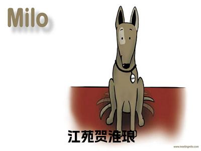 江苑贺淮琅贺淮琅江苑小说免费阅读全文大结局