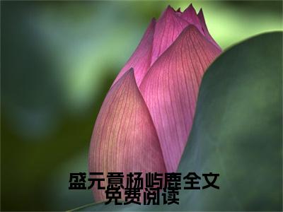 末世来临，我建的民宿成了金手指全文免费阅读-美文摘抄 盛元意杨屿鹿