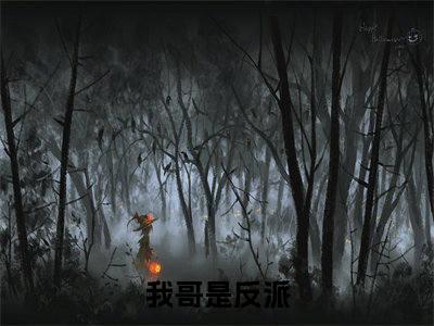 我哥是反派，男主暗恋我小说  宋落葵池屿全文免费