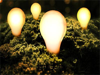 官道天下完整版最新小说大结局  陆渐红安然最新章节