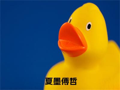 甜宠文强推惟愿我不曾深爱- 夏墨傅哲在哪免费看